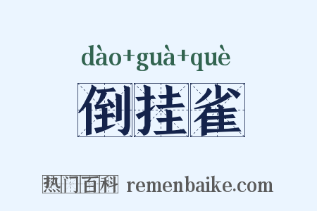 倒挂雀是什么意思的图片
